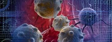 Molecular Biology