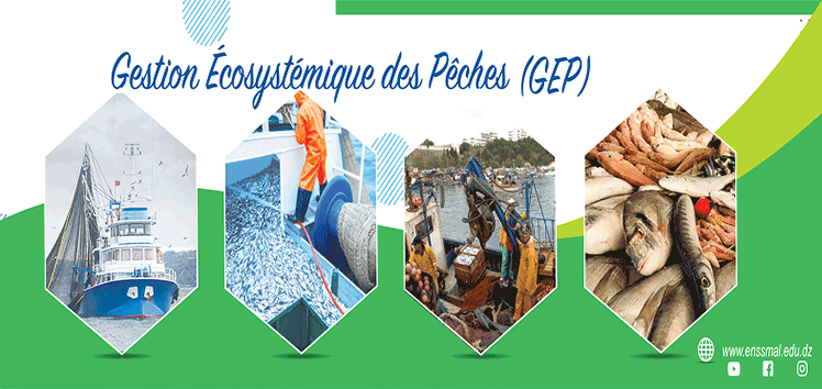 Ecosystem Fisheries Management