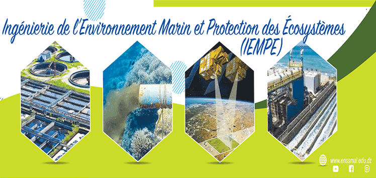 Marine Environment Engineering and Ecosystem Protection