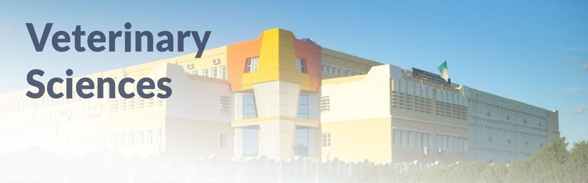 Veterinary Sciences