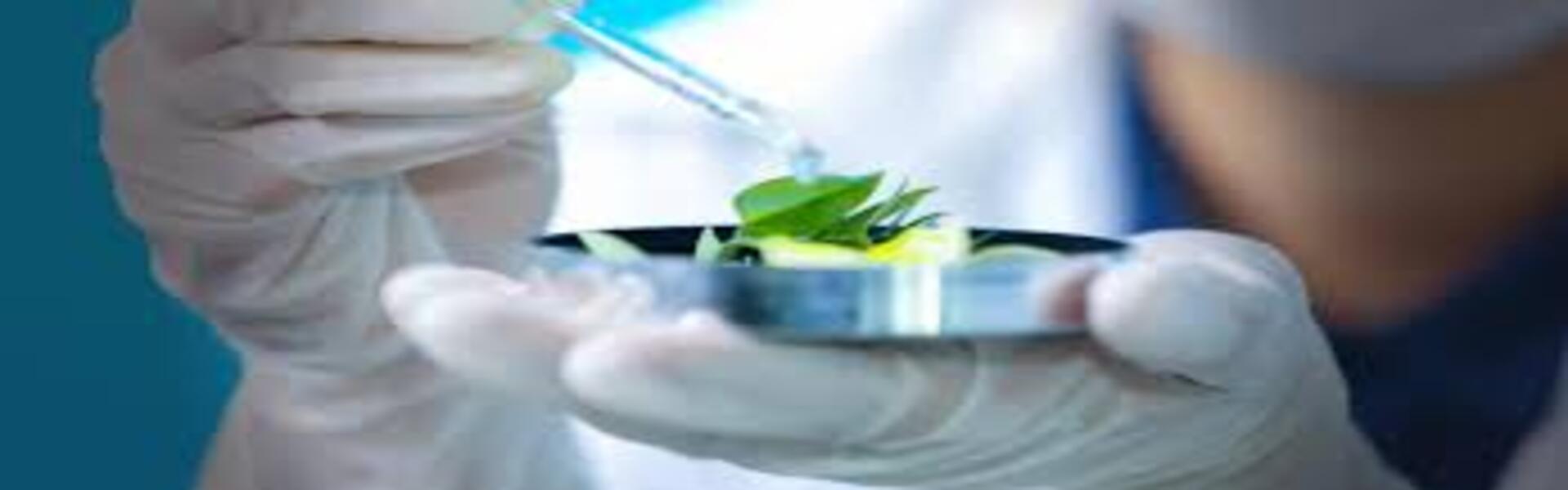 Agri-Food Technology and Quality Control
