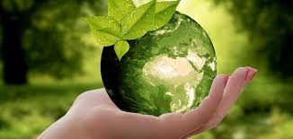 Plant Protection