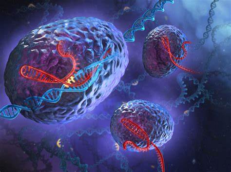 Cellular and Molecular Biology