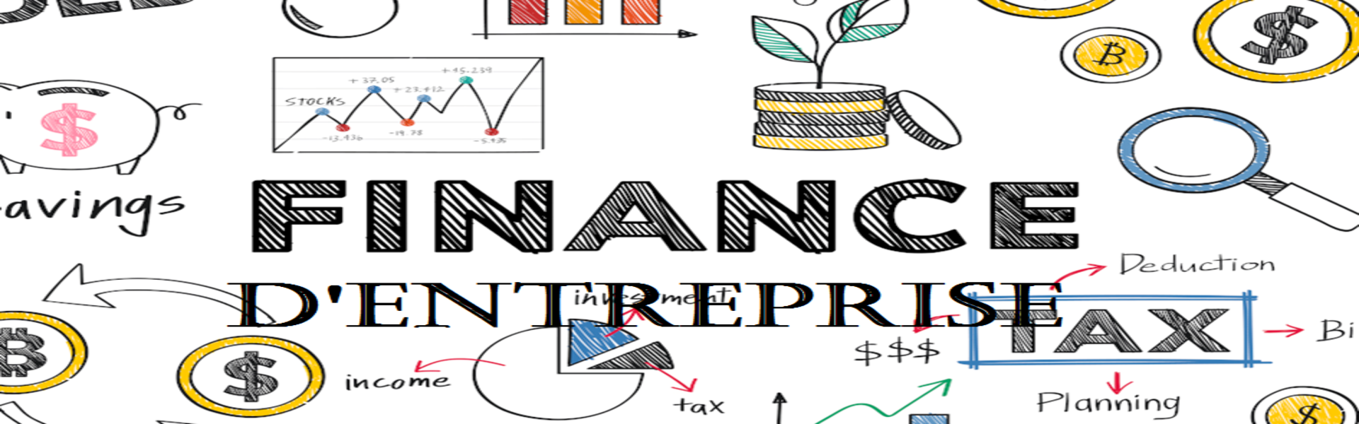 Company finance