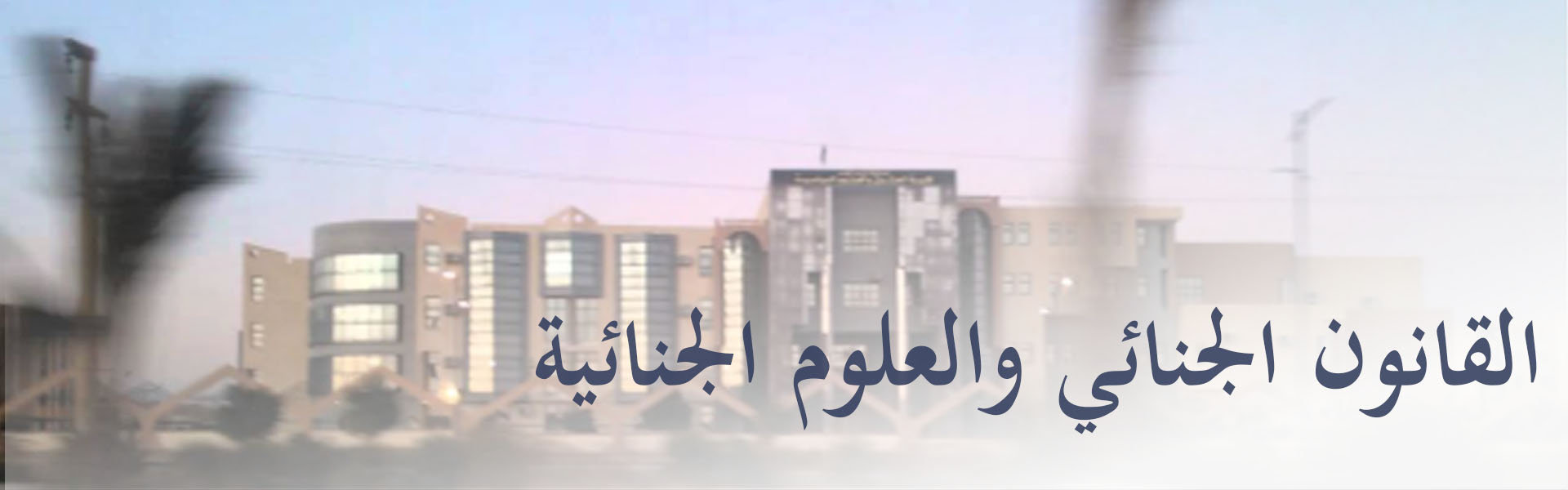 Criminal Law and Criminological Sciences