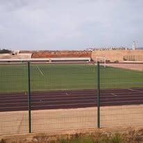 school physical and sports activity